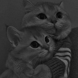 شبنم قهرمانوا آه منم بیر منم